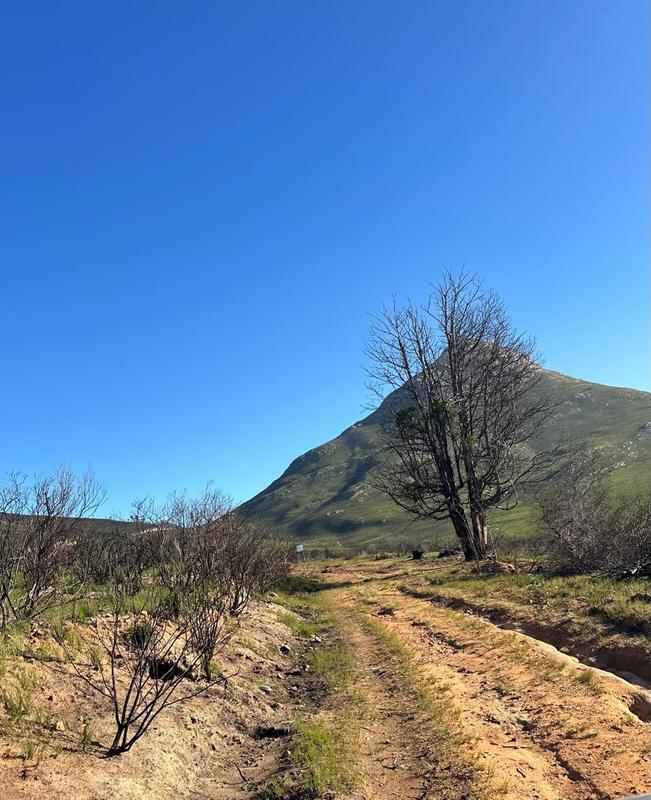 0 Bedroom Property for Sale in Kareedouw Eastern Cape